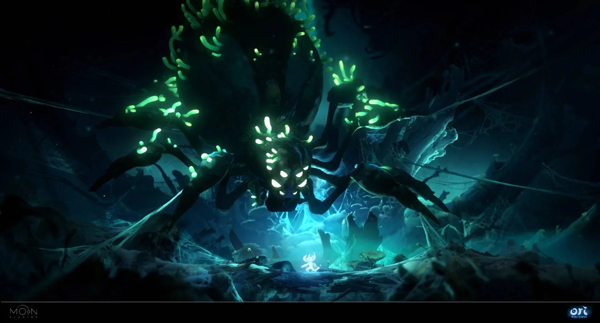 Mora, the giant spider mora